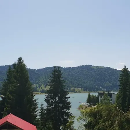 Casa Davideea * Colibita