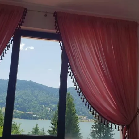 Guest house Casa Davideea Colibita