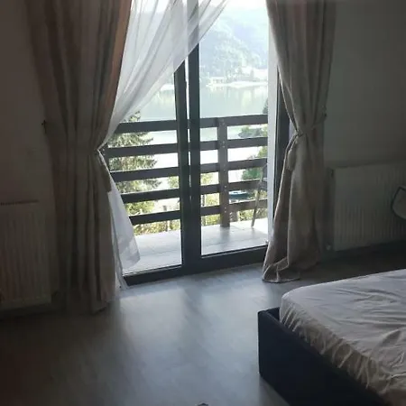 Casa Davideea Kolibica